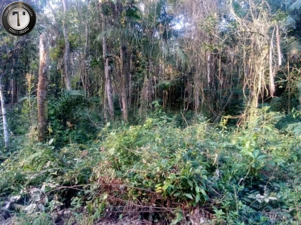 Terreno, 2500 m² - Foto 5