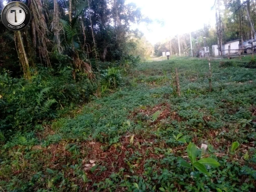 Terreno, 2500 m² - Foto 6