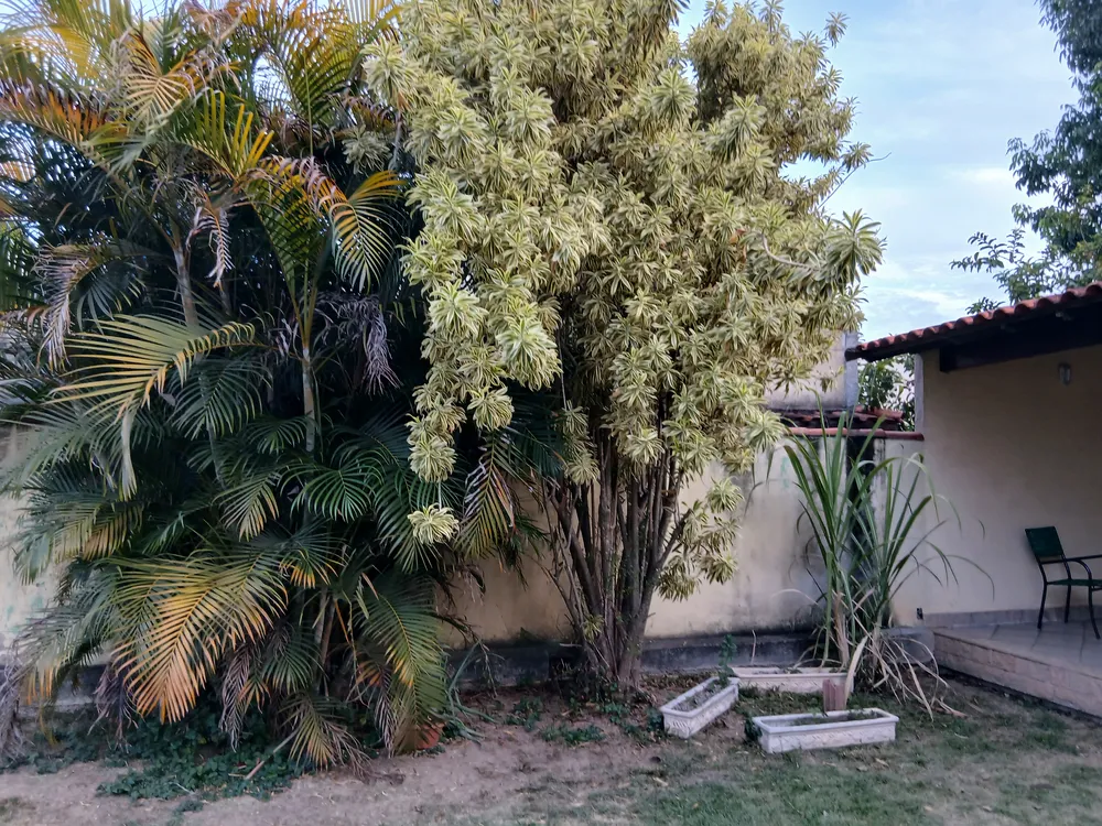 Casa, 3 quartos, 200 m² - Foto 9
