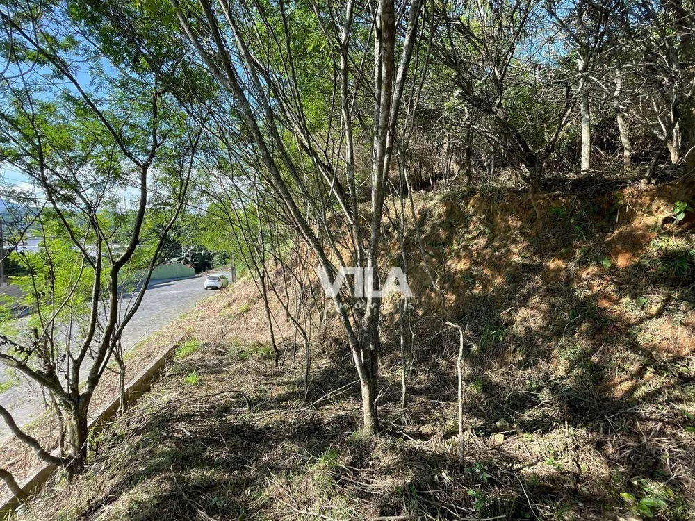 Terreno, 1691 m² - Foto 3