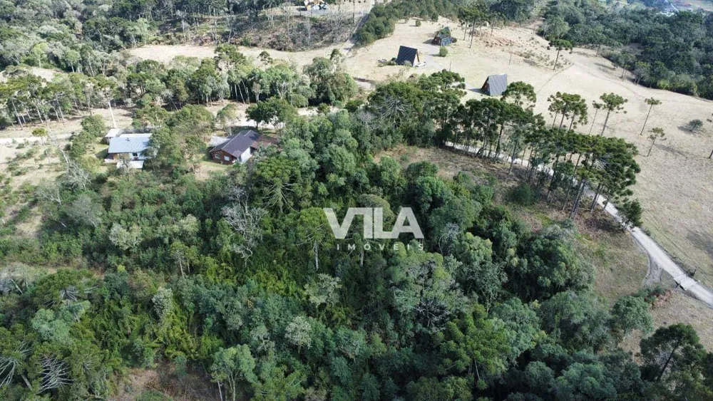 Terreno, 3 hectares - Foto 7