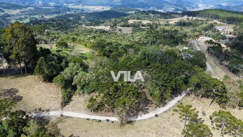Terreno, 3 hectares - Foto 1