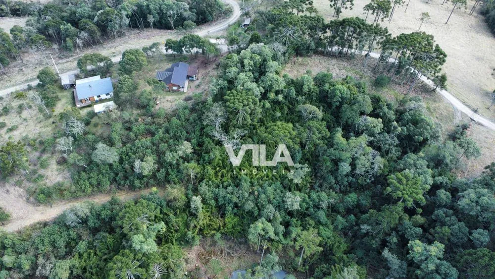 Terreno, 3 hectares - Foto 4