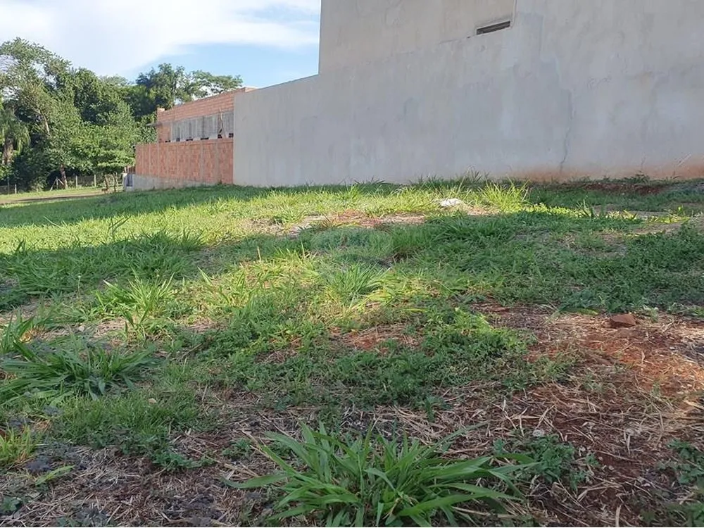 Terreno, 250 m² - Foto 1