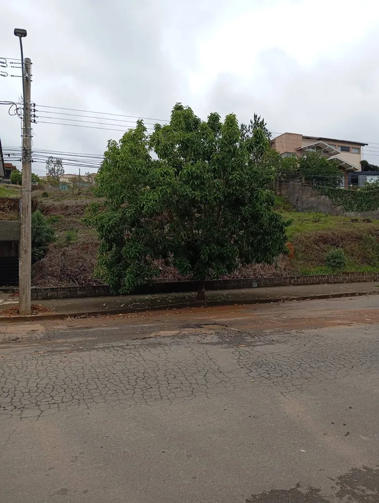 Terreno, 616 m² - Foto 3