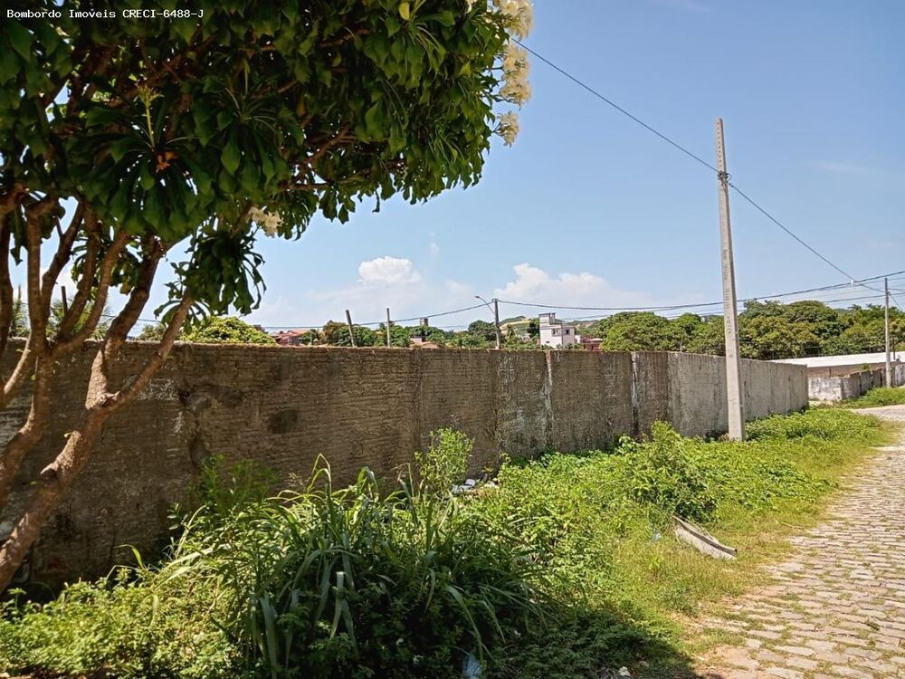 Terreno à venda, 300m² - Foto 4