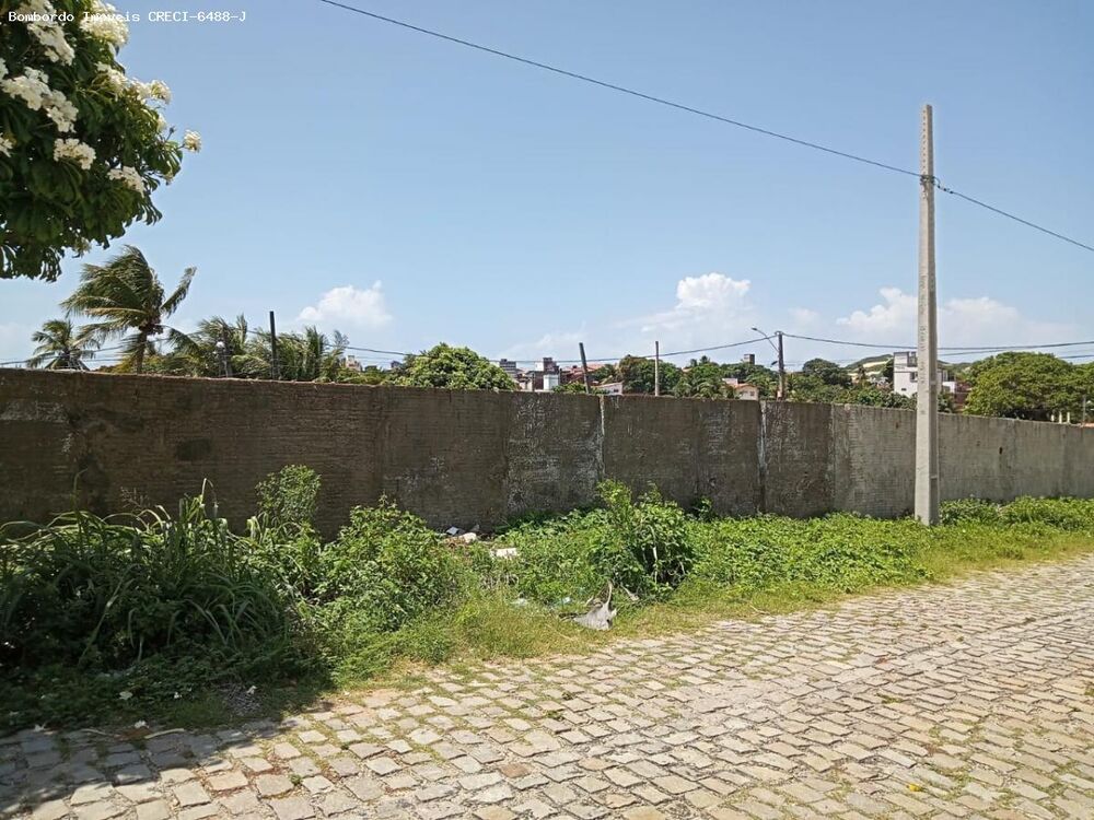 Terreno à venda, 300m² - Foto 3