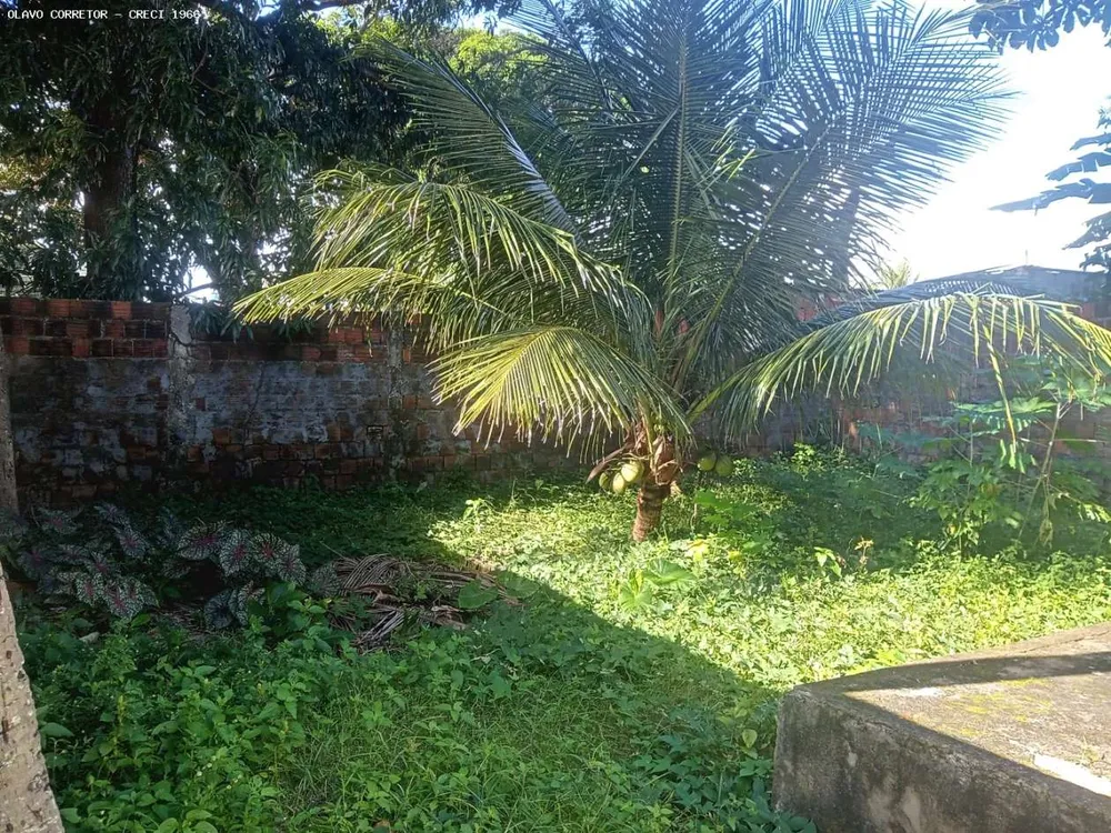 Casa, 2 quartos, 48 m² - Foto 9