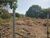 Terreno, 868 m² - Foto 3