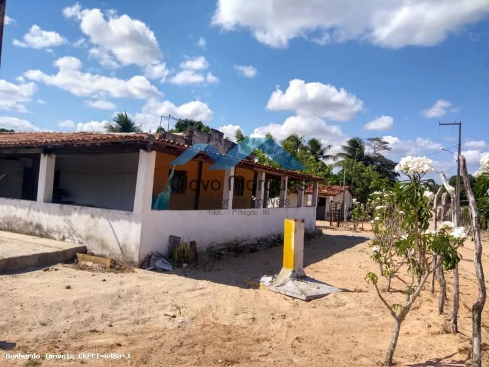 Fazenda, 3 hectares - Foto 13