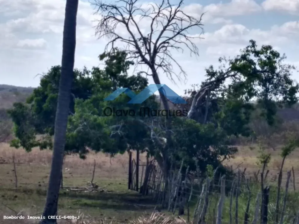 Fazenda, 3 hectares - Foto 8