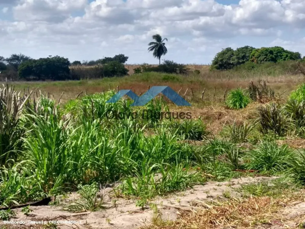 Fazenda, 3 hectares - Foto 6
