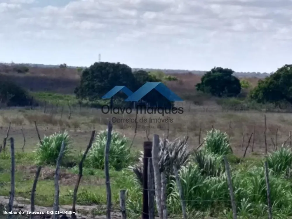 Fazenda, 3 hectares - Foto 14