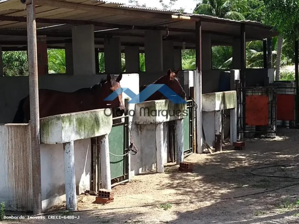 Fazenda, 3 hectares - Foto 12