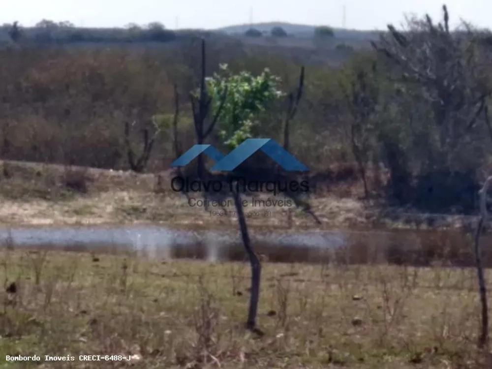 Fazenda, 3 hectares - Foto 7