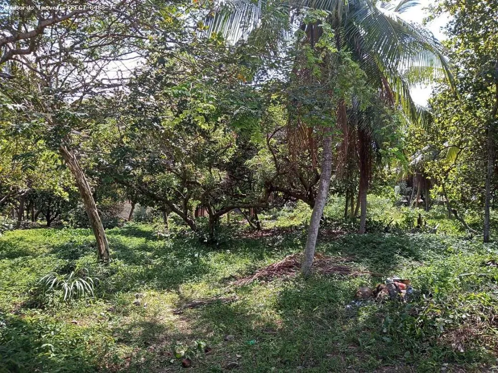 Terreno, 1 hectares - Foto 4