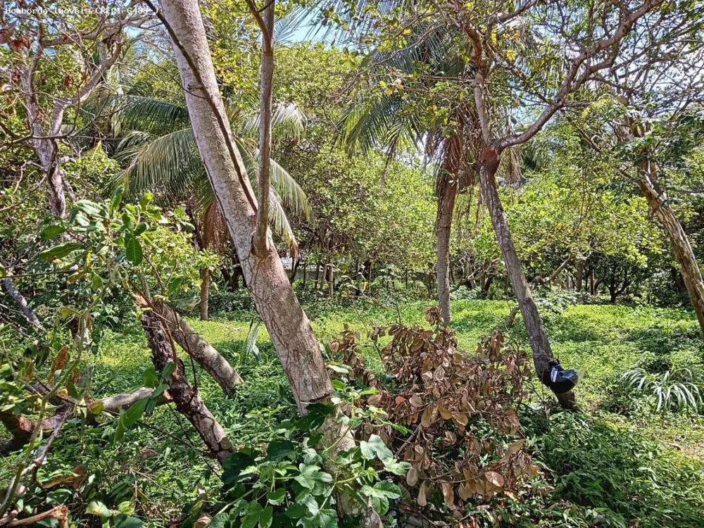 Terreno, 1 hectares - Foto 2