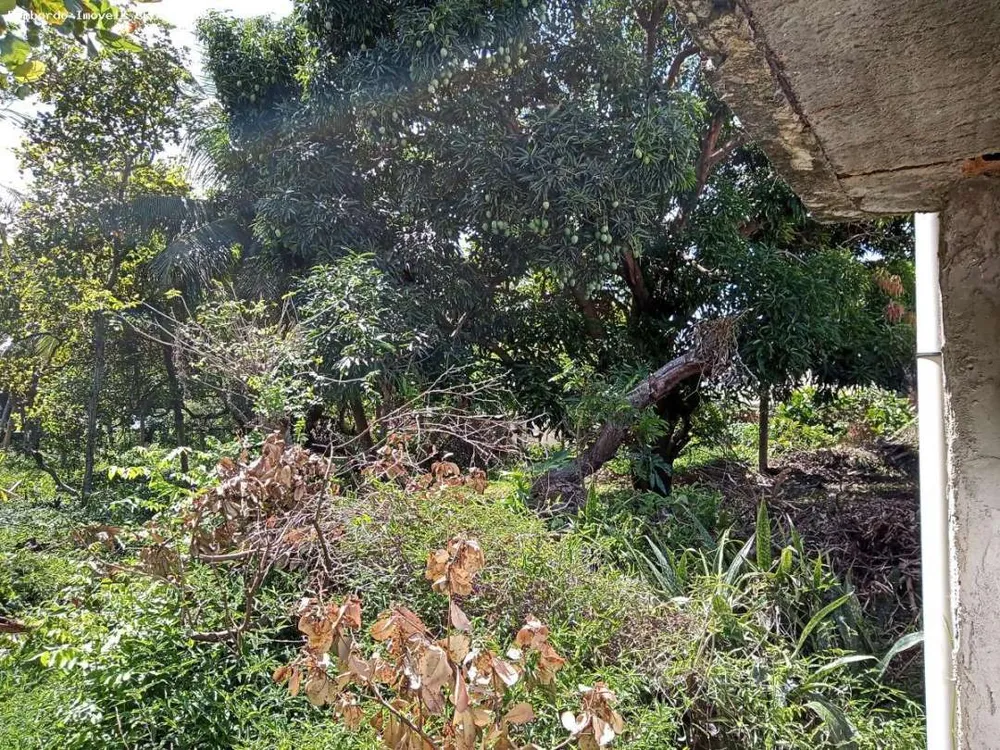 Terreno, 1 hectares - Foto 6