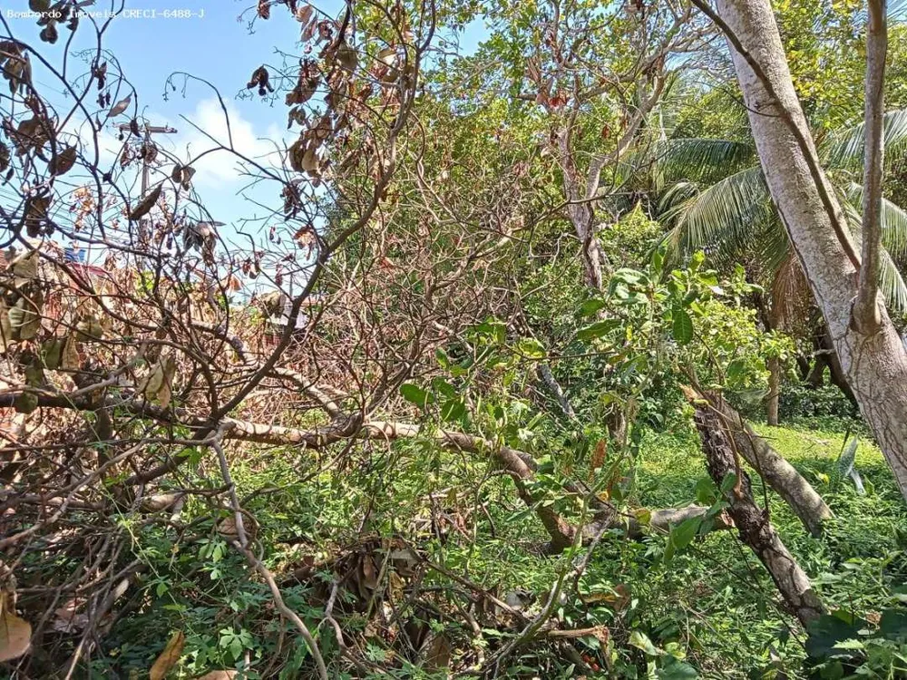 Terreno, 1 hectares - Foto 1