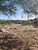 Terreno, 510 m² - Foto 2