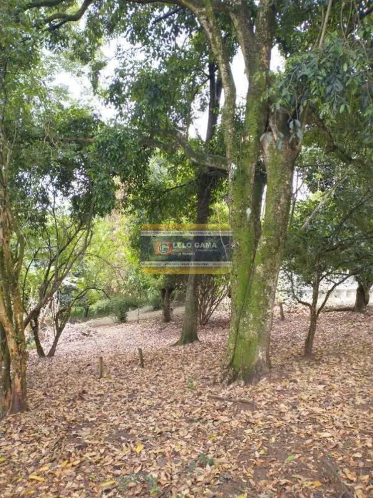 Terreno, 3832 m² - Foto 10