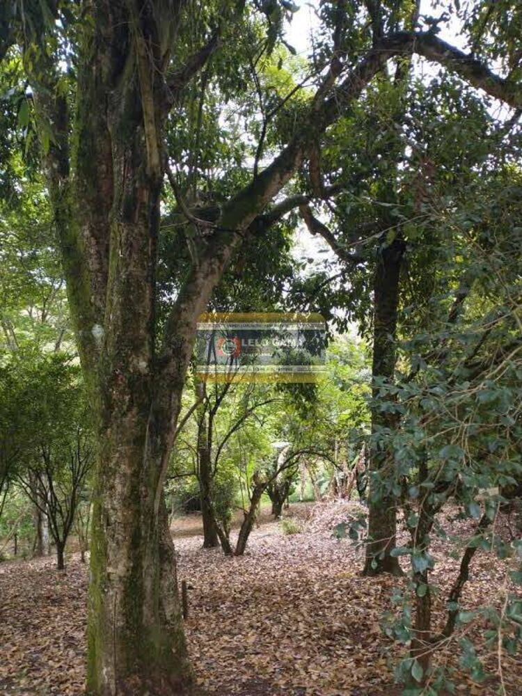 Terreno, 3832 m² - Foto 3