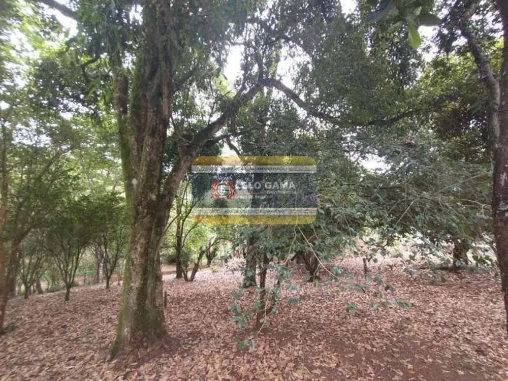 Terreno, 3832 m² - Foto 12