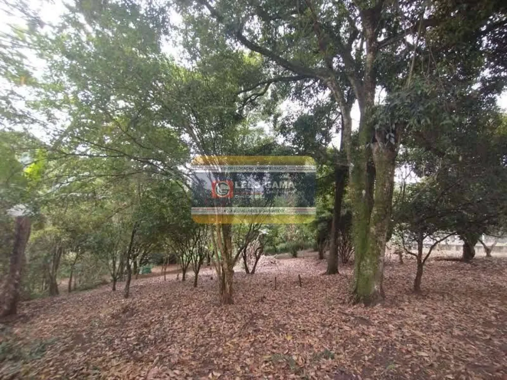 Terreno, 3832 m² - Foto 6