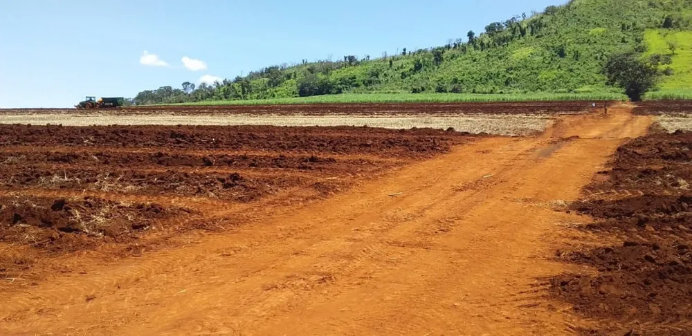 Fazenda - Foto 4