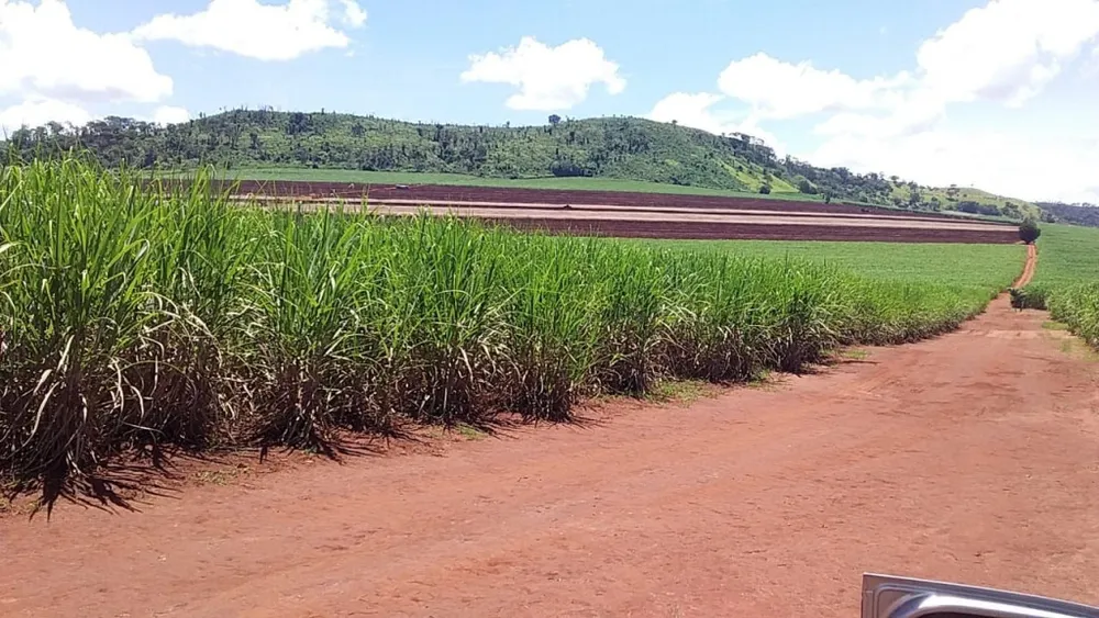 Fazenda - Foto 1