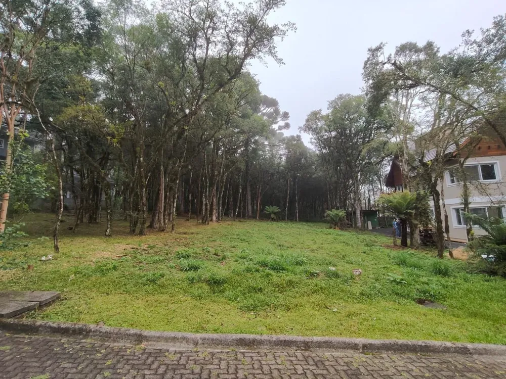 Terreno, 659 m² - Foto 2