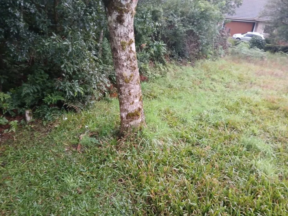 Terreno, 490 m² - Foto 4