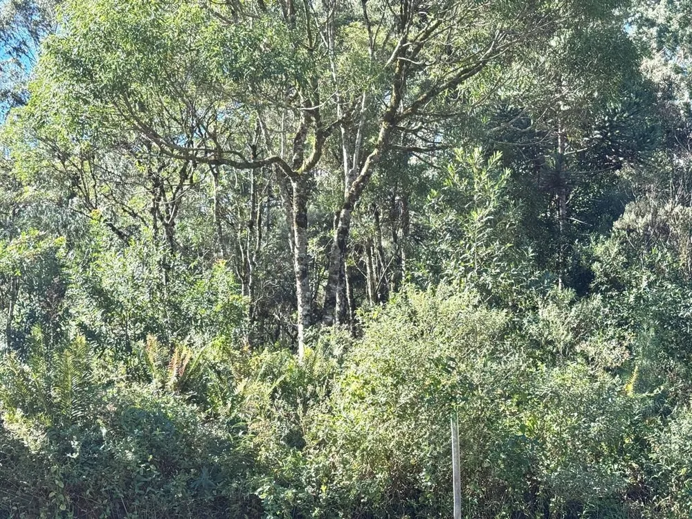 Terreno, 470 m² - Foto 1
