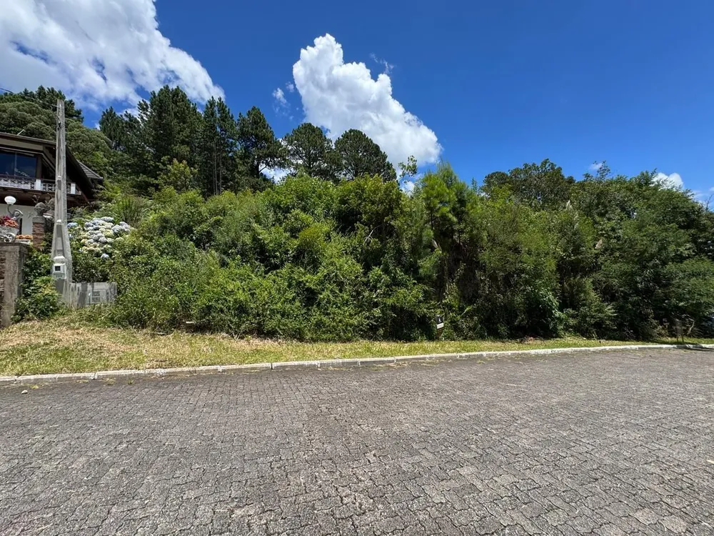 Terreno, 621 m² - Foto 3