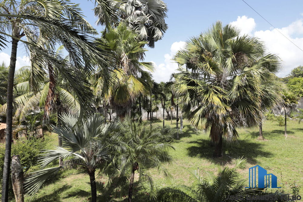 Casa, 4 quartos, 467 m² - Foto 9