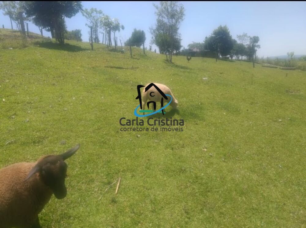 Terreno à venda, 32000m² - Foto 2