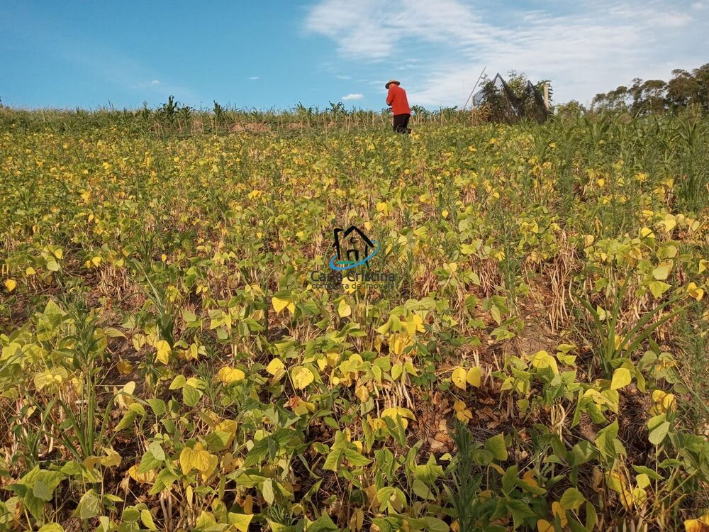 Terreno à venda, 32000m² - Foto 3