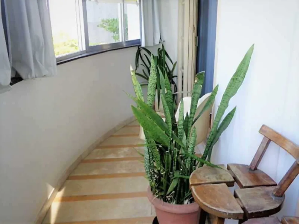 Apartamento, 3 quartos, 147 m² - Foto 2