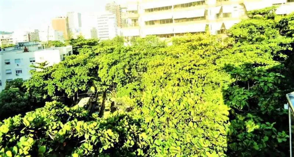 Cobertura, 5 quartos, 228 m² - Foto 14