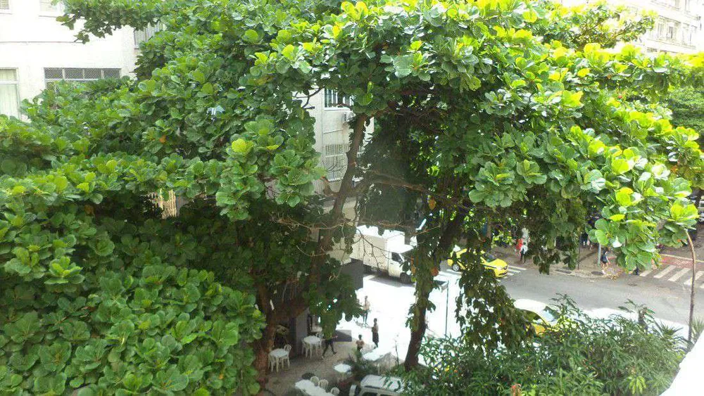 Apartamento, 3 quartos, 161 m² - Foto 5