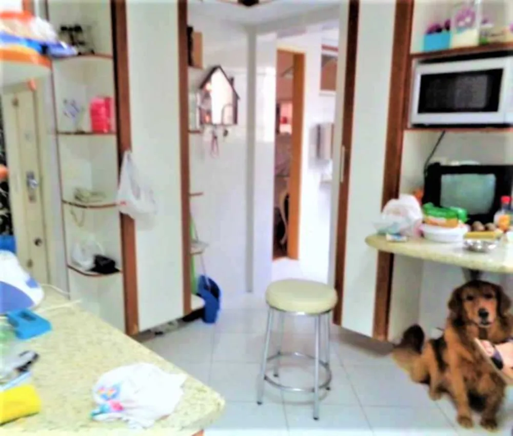 Cobertura, 4 quartos, 360 m² - Foto 15
