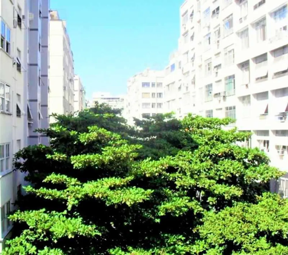 Apartamento, 4 quartos, 300 m² - Foto 7