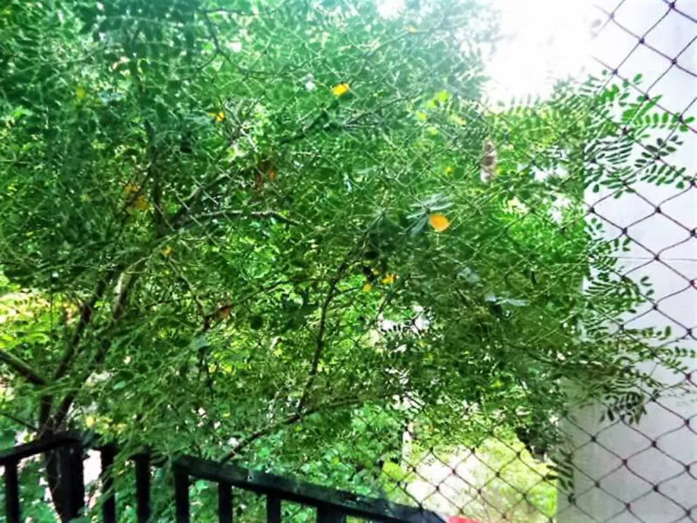 Apartamento, 3 quartos, 150 m² - Foto 13
