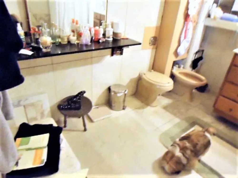 Apartamento, 4 quartos, 280 m² - Foto 3