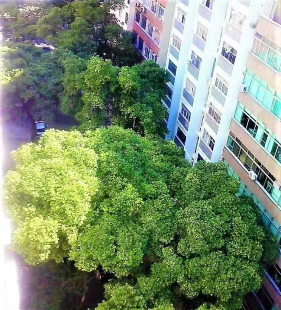 Apartamento, 1 quarto, 28 m² - Foto 11