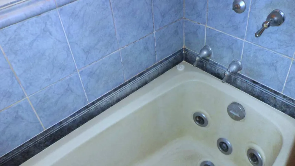 Apartamento, 4 quartos, 305 m² - Foto 19