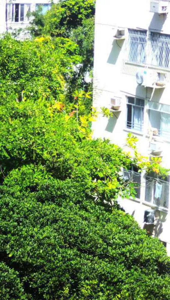 Apartamento, 4 quartos, 305 m² - Foto 8