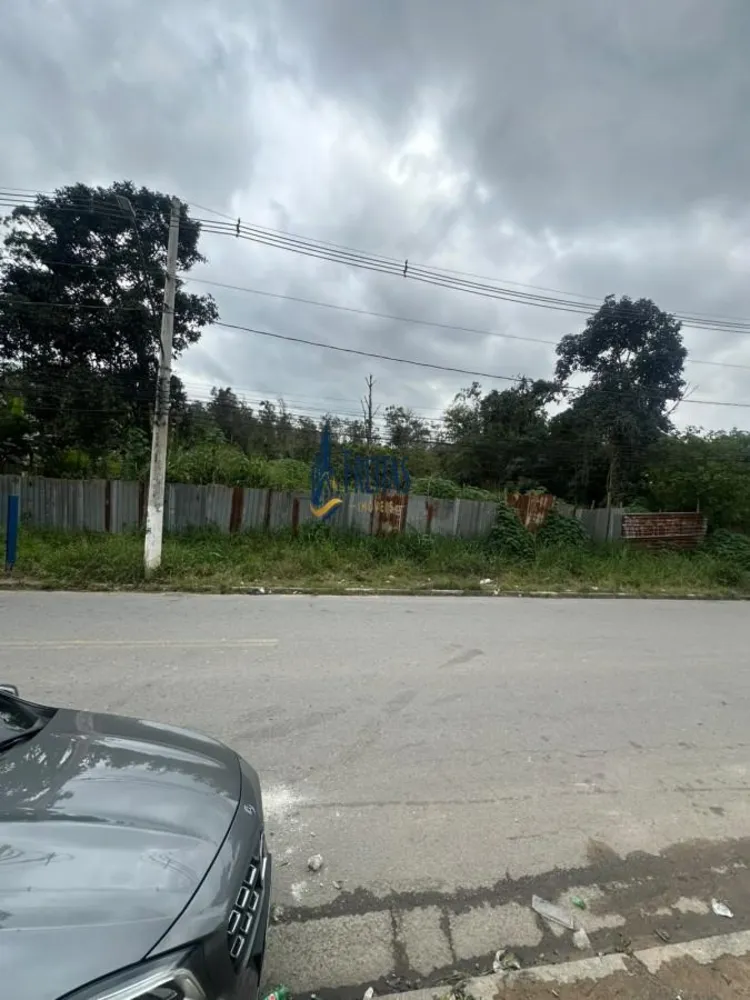 Terreno, 264 m² - Foto 3