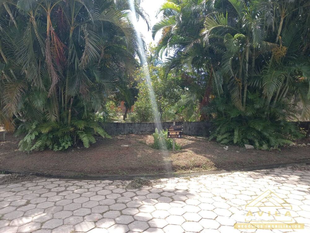 Casa - Foto 1