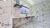 Casa, 3 quartos, 160 m² - Foto 4